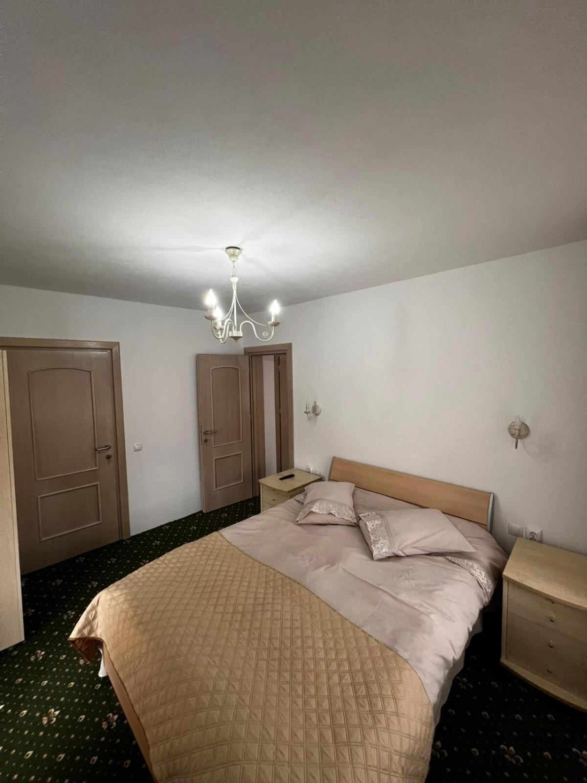 מלון Casa Bujor De Munte Dragoslavele מראה חיצוני תמונה